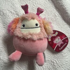 Squishmallow brand new